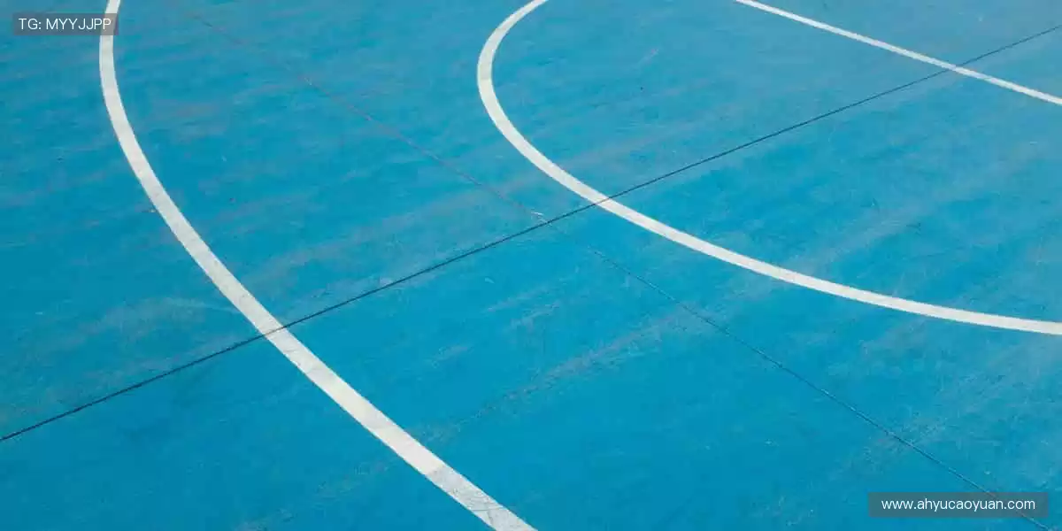 高清直播,身临其境!🎥🌍